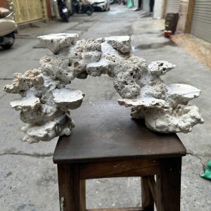 Mã 517 - Layout Đá Biển Tự Nhiên Vòng Cung Bể 60cm Cho Reef Hiện Đại