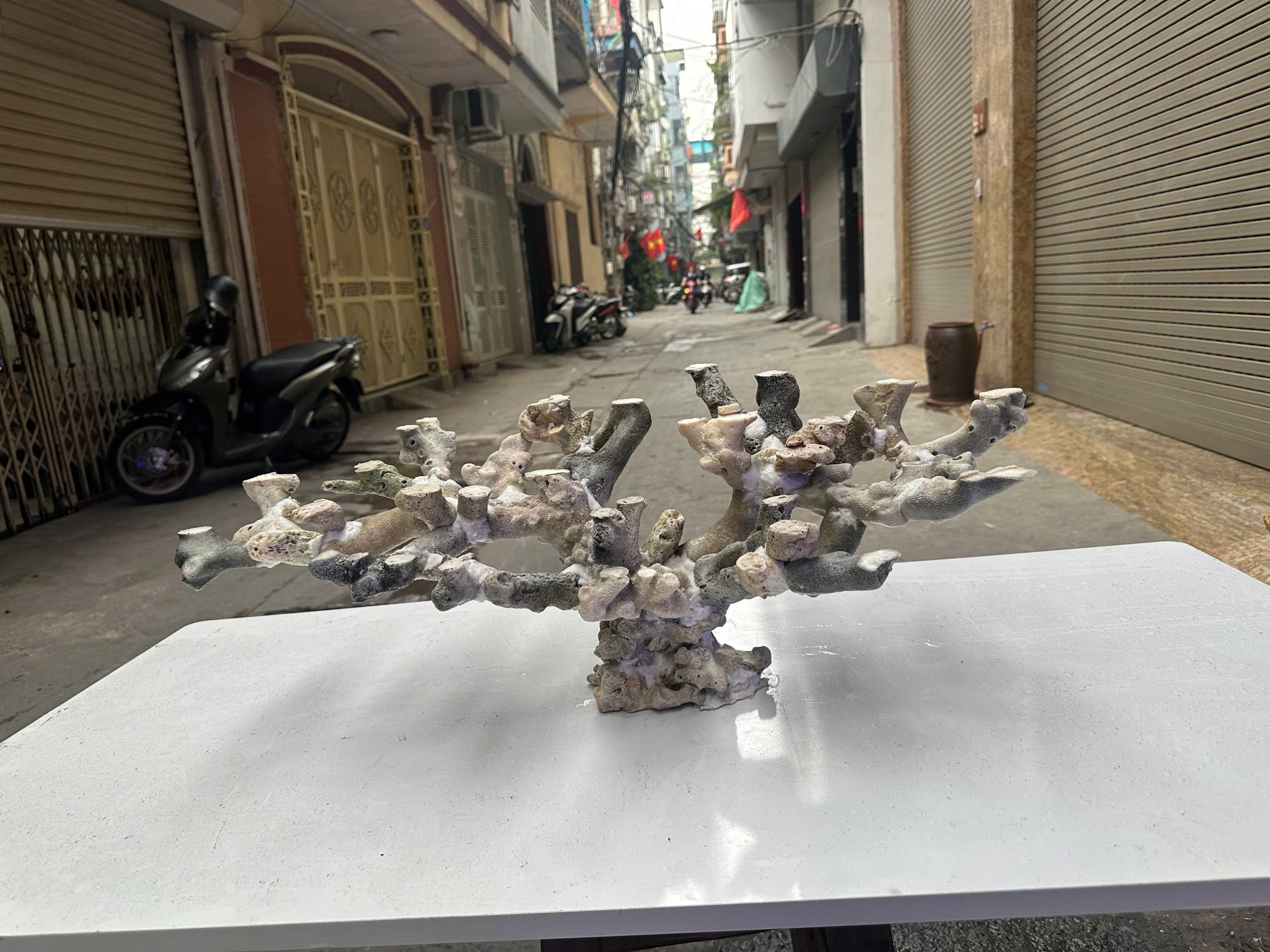 Mã 527 - Layout đá biển tự nhiên bể 90cm tối ưu không gian reef hiện đại