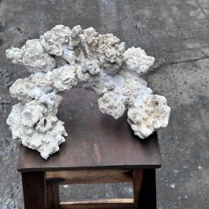 Mã 510 - Layout Đá Biển Tự Nhiên Vòng Cung Bể 30cm Cho Nano Reef Hiện Đại